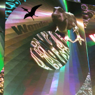 オリジナルホログラム事例05